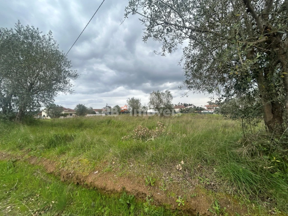 Terreno para Venda em Casais e Alviobeira Foto 39