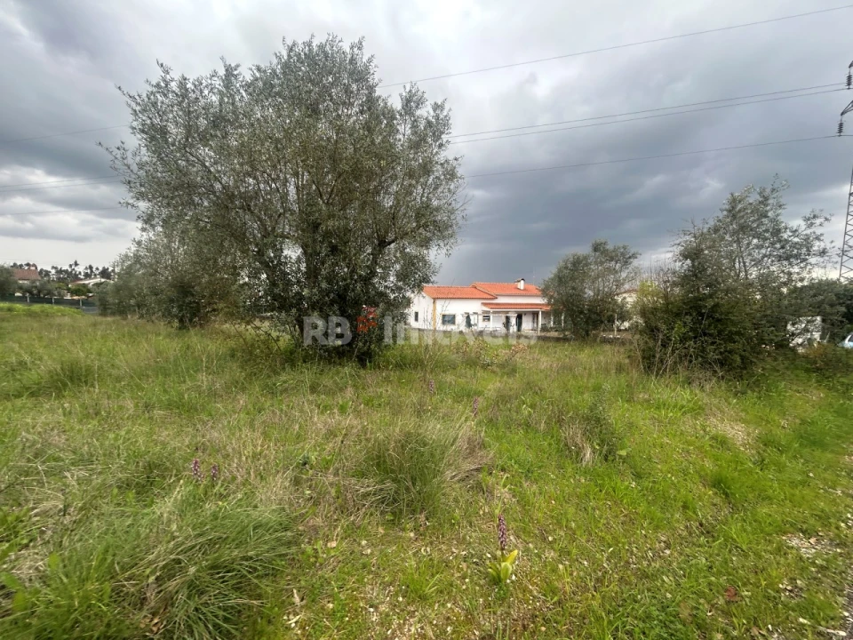 Terreno para Venda em Casais e Alviobeira Foto 40