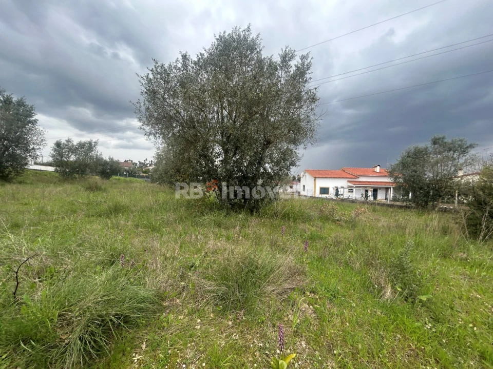 Terreno para Venda em Casais e Alviobeira Foto 41