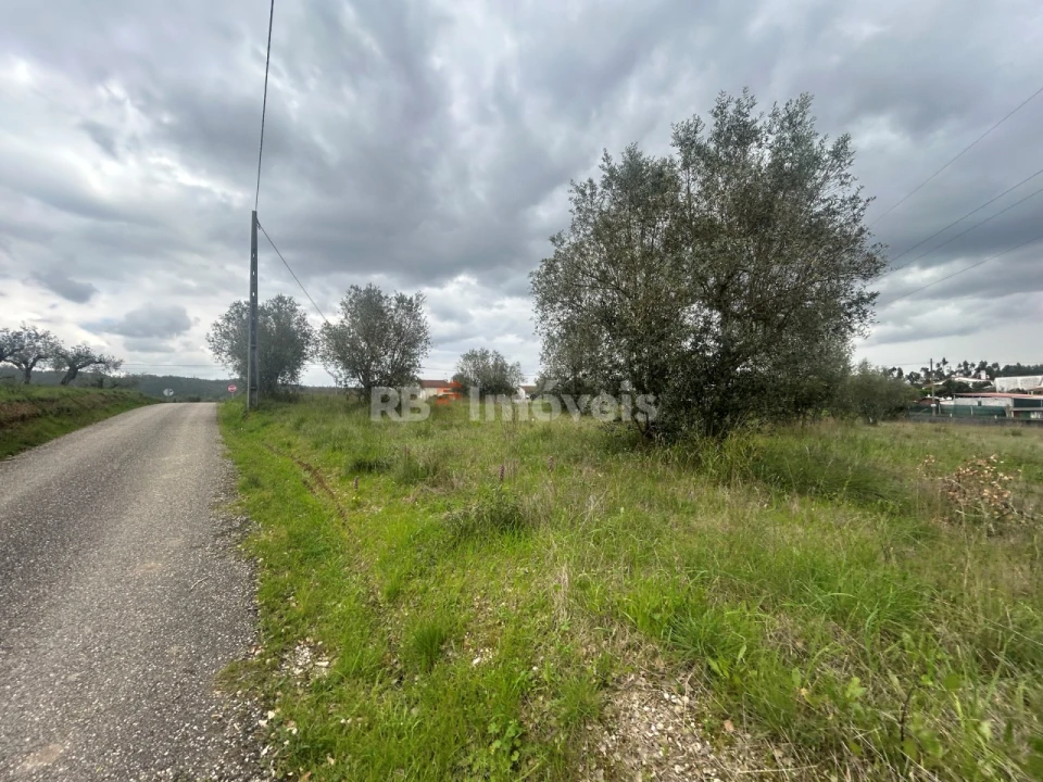 Terreno para Venda em Casais e Alviobeira Foto 42