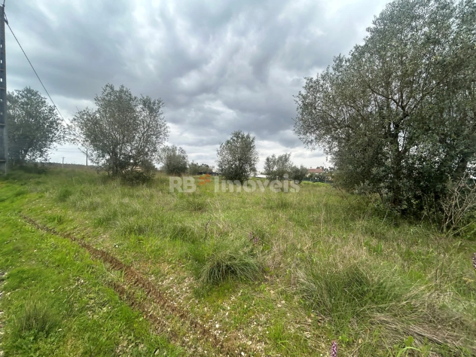 Terreno para Venda em Casais e Alviobeira Foto 43