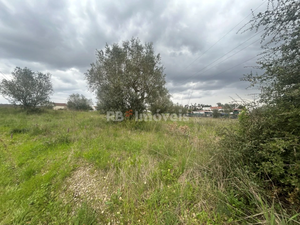 Terreno para Venda em Casais e Alviobeira Foto 44