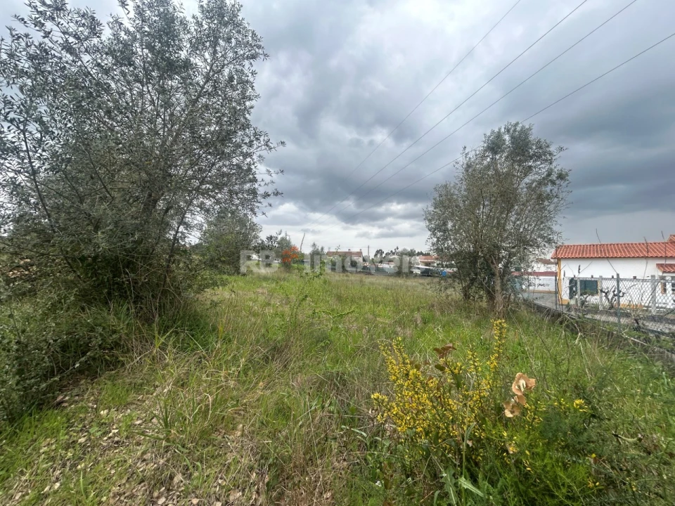 Terreno para Venda em Casais e Alviobeira Foto 45