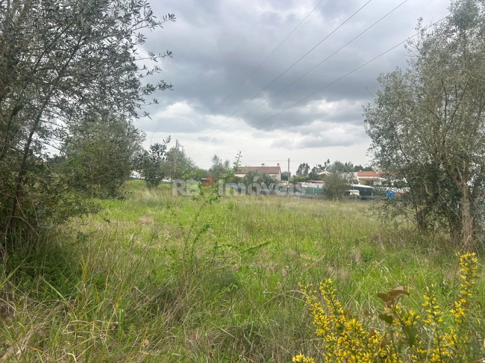 Terreno para Venda em Casais e Alviobeira Foto 46