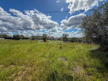 Terreno para Venda em Casais e Alviobeira