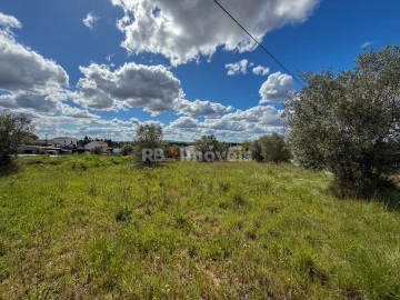 Terreno para Venda em Casais e Alviobeira