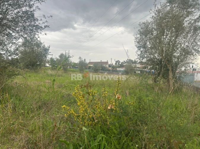 Terreno para Venda em Casais e Alviobeira Foto 18