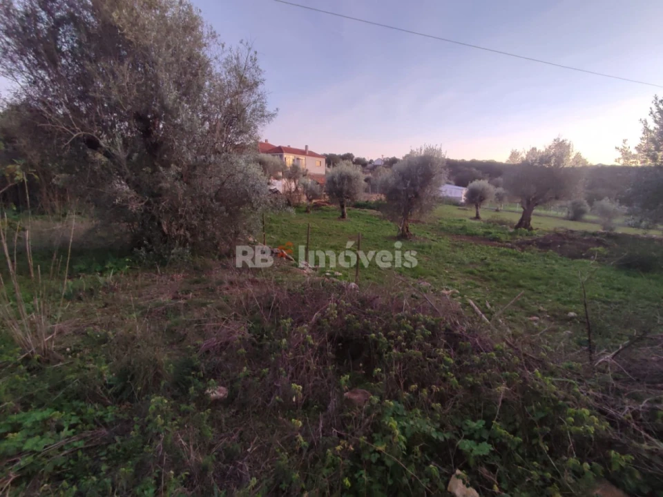 Terreno para Venda em Além da Ribeira e Pedreira Foto 2