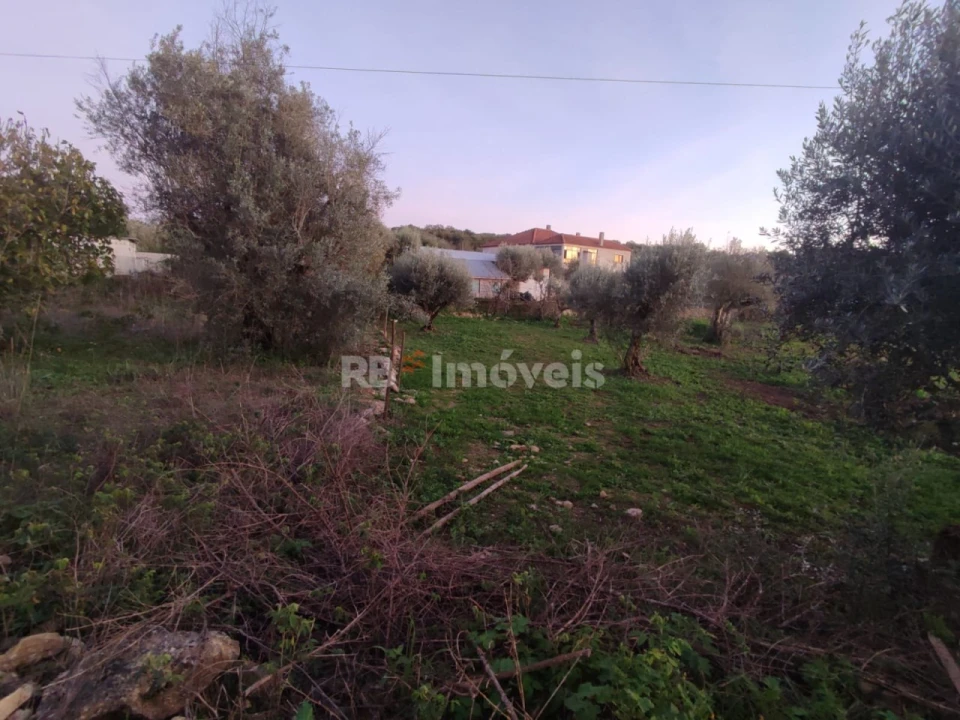 Terreno para Venda em Além da Ribeira e Pedreira Foto 12