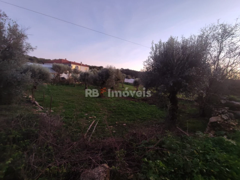 Terreno para Venda em Além da Ribeira e Pedreira Foto 14