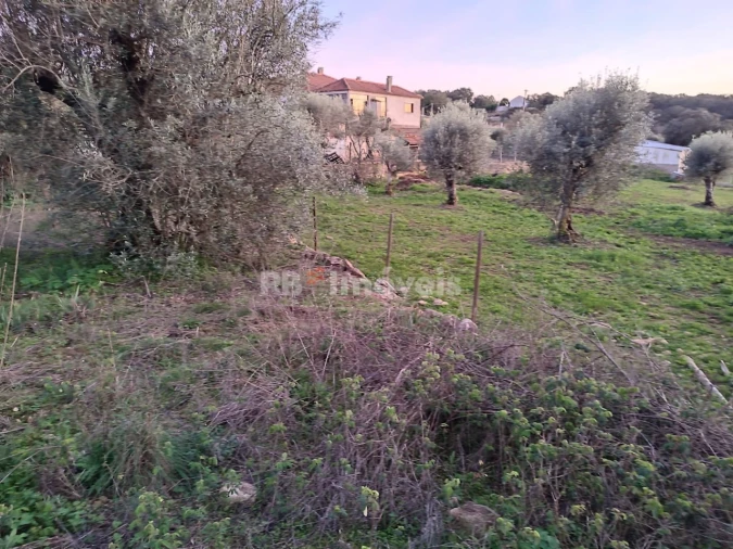 Terreno para Venda em Além da Ribeira e Pedreira Foto 5