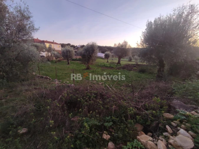 Terreno para Venda em Além da Ribeira e Pedreira Foto 3
