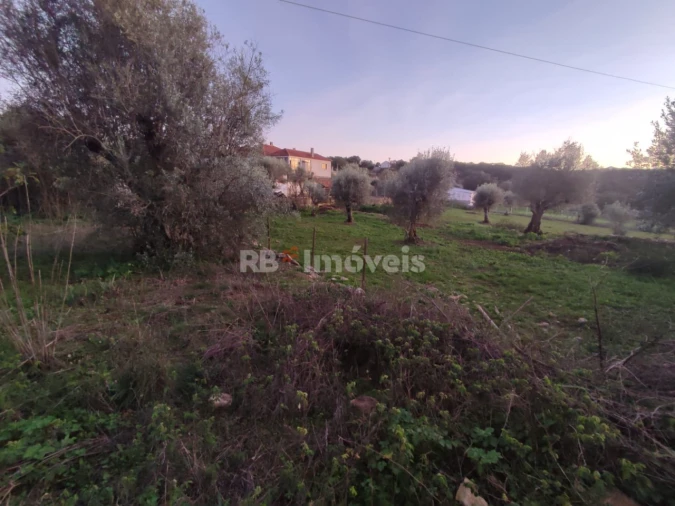 Terreno para Venda em Além da Ribeira e Pedreira Foto 2