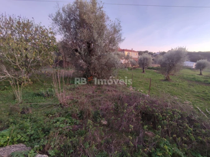 Terreno para Venda em Além da Ribeira e Pedreira Foto 9