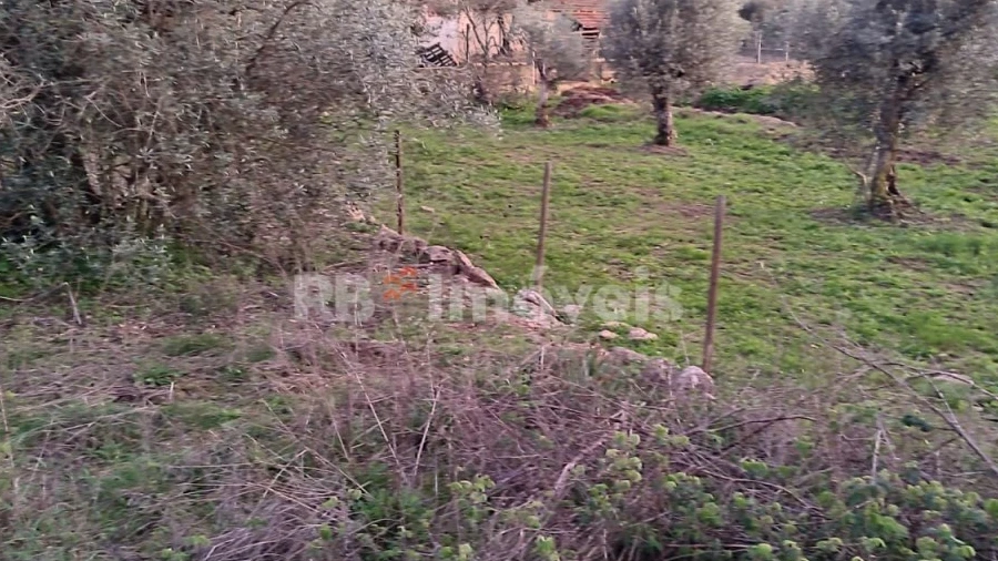 Terreno para Venda em Além da Ribeira e Pedreira