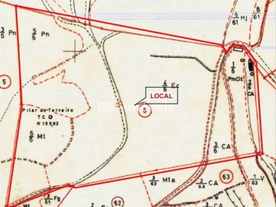 Terreno para Venda em São Pedro de Tomar Foto 6