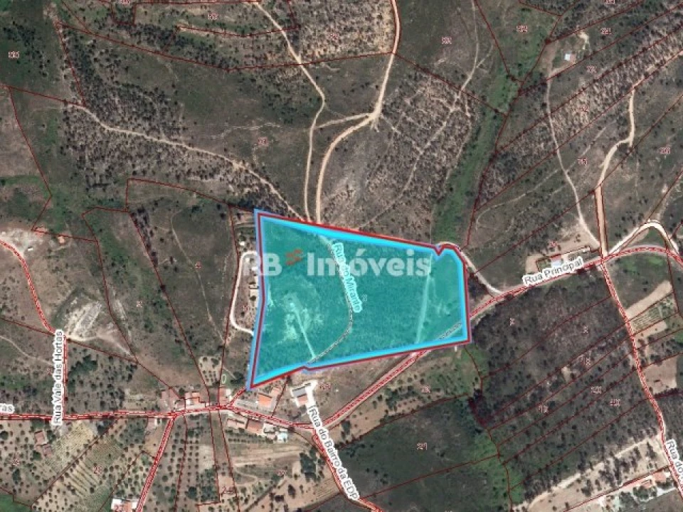 Terreno para Venda em São Pedro de Tomar Foto 2