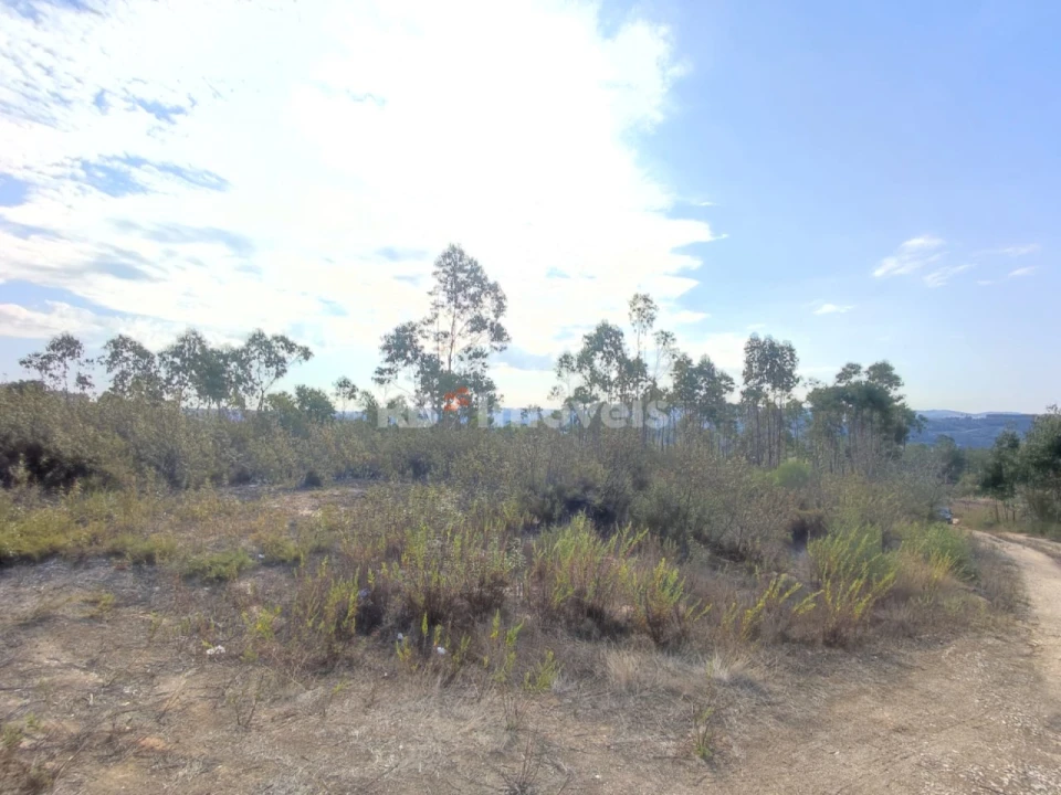 Terreno para Venda em São Pedro de Tomar Foto 13