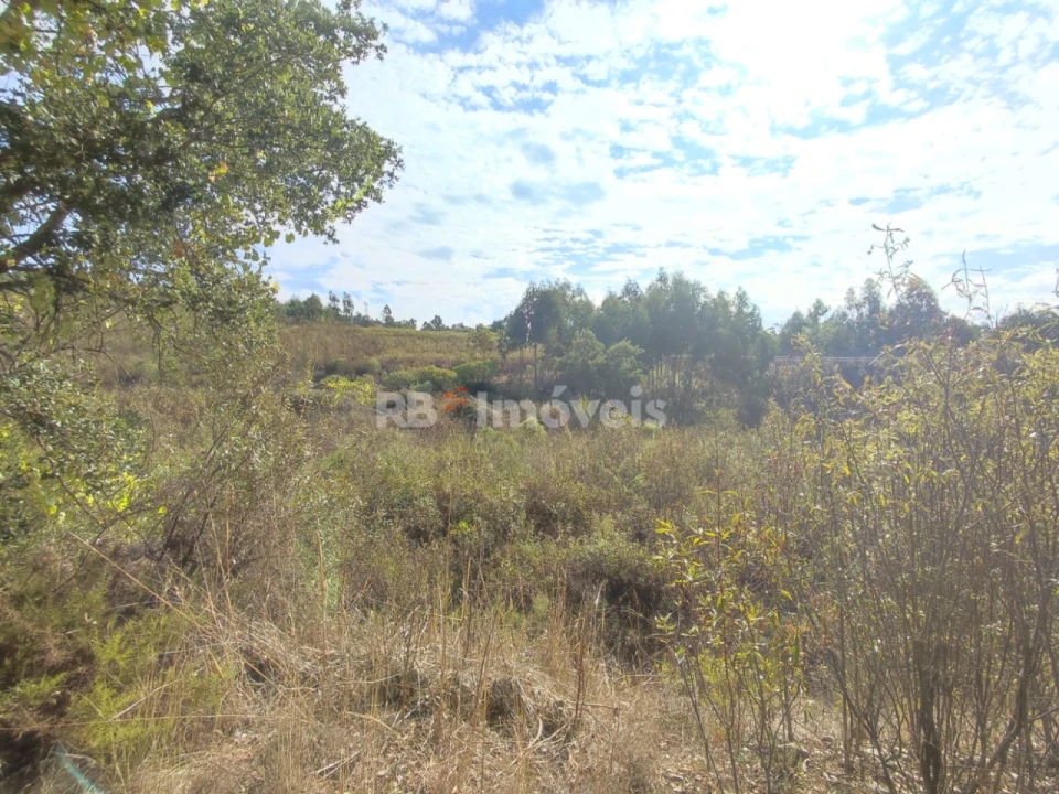 Terreno para Venda em São Pedro de Tomar Foto 24