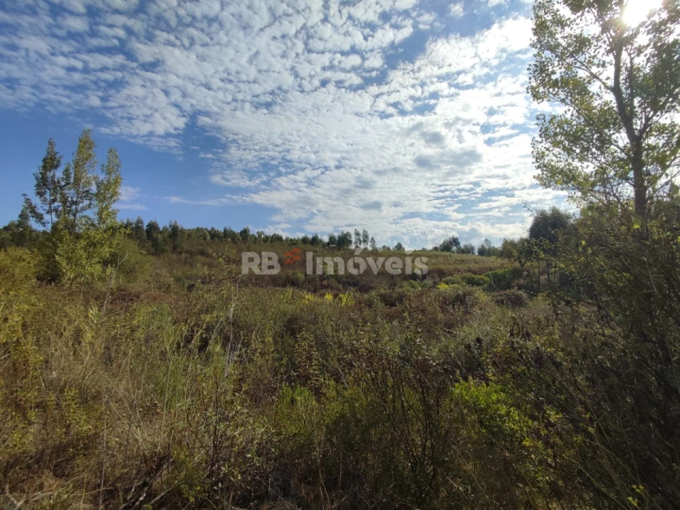 Terreno para Venda em São Pedro de Tomar Foto 27