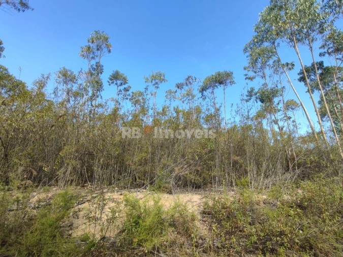 Terreno para Venda em São Pedro de Tomar Foto 14
