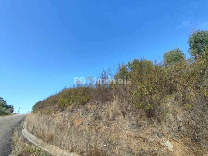 Terreno para Venda em São Pedro de Tomar Foto 22