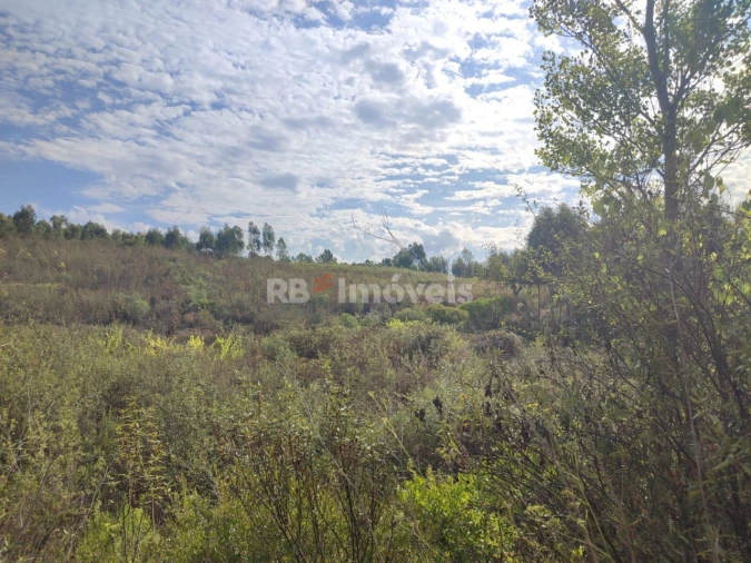 Terreno para Venda em São Pedro de Tomar Foto 30