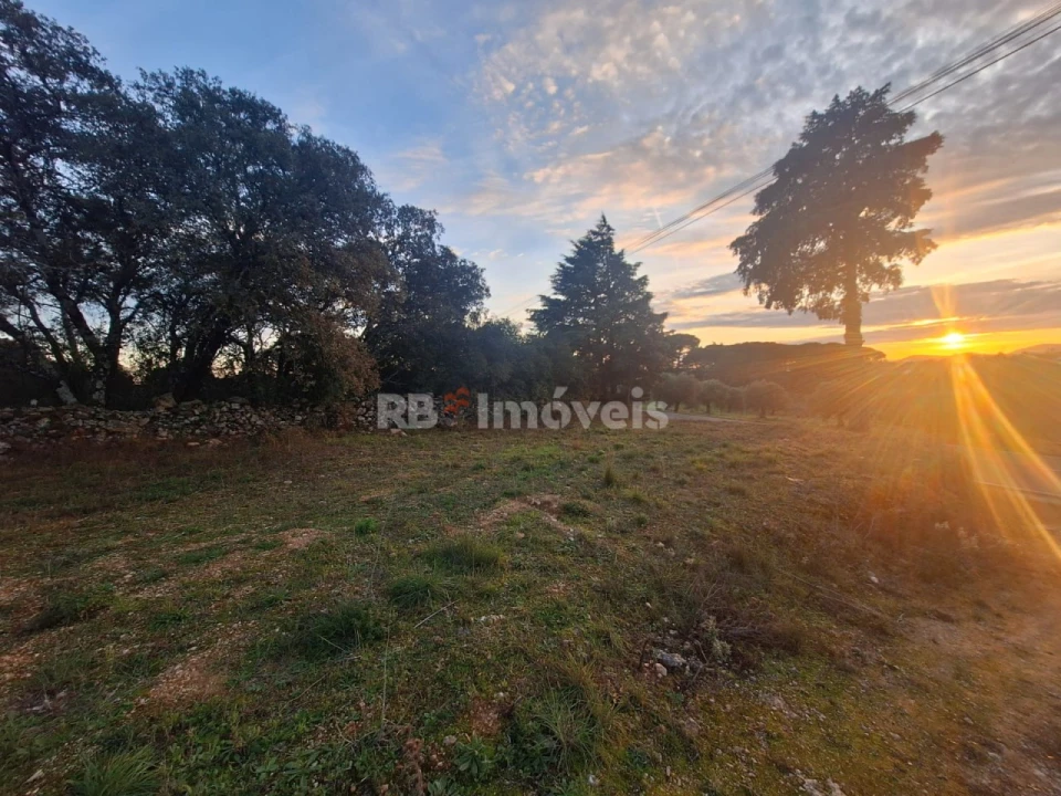 Terreno para Venda em Assentiz Foto 1