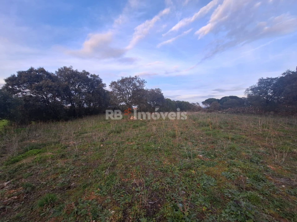 Terreno para Venda em Assentiz Foto 11