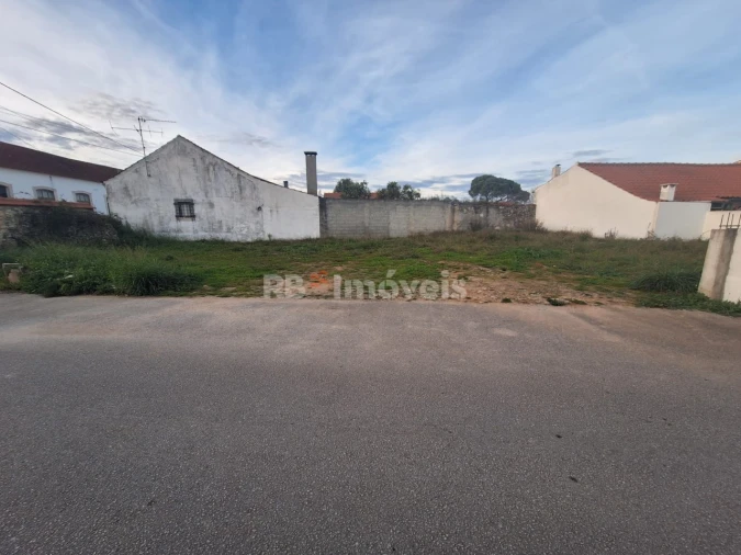 Terreno para Venda em Assentiz Foto 8