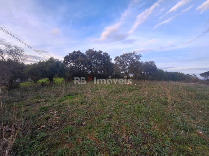 Terreno para Venda em Assentiz Foto 3