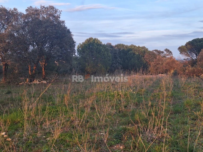 Terreno para Venda em Assentiz Foto 6
