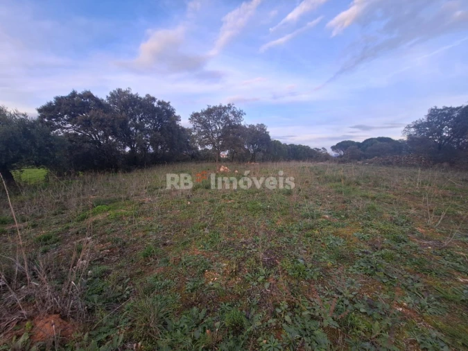 Terreno para Venda em Assentiz Foto 7