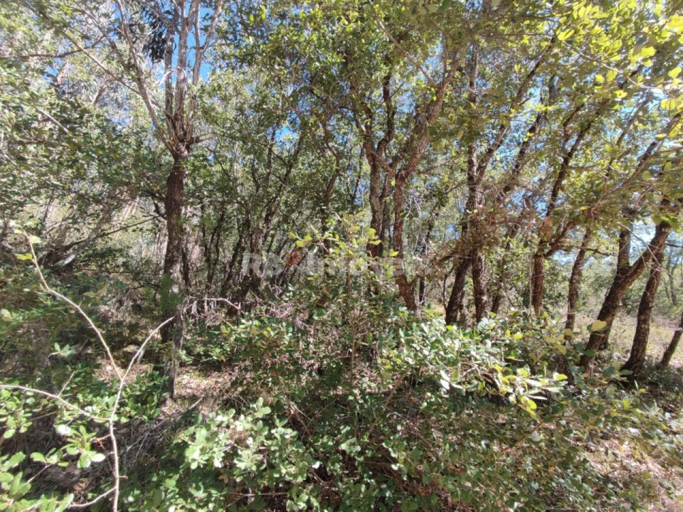 Terreno para Venda em Chãos Foto 9