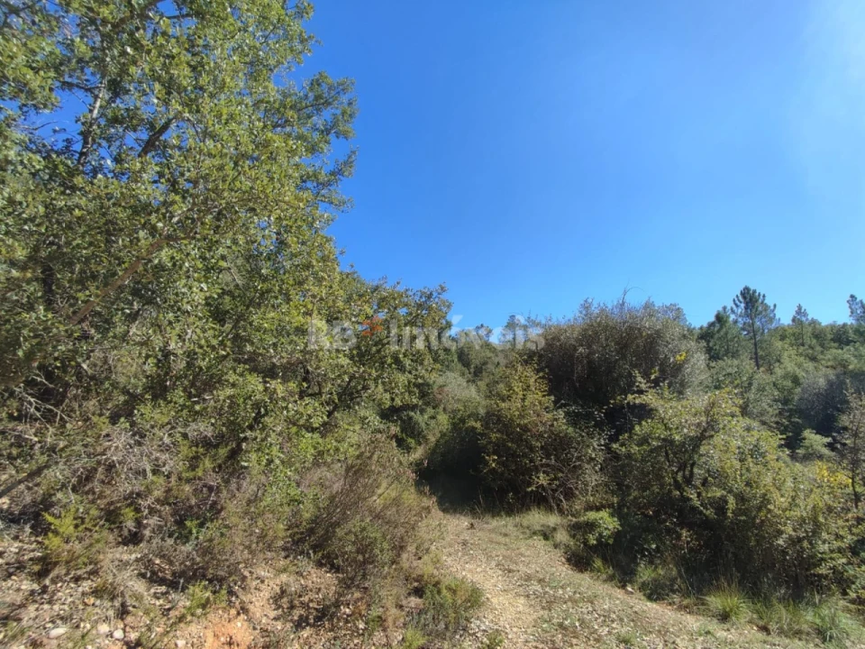 Terreno para Venda em Chãos Foto 10
