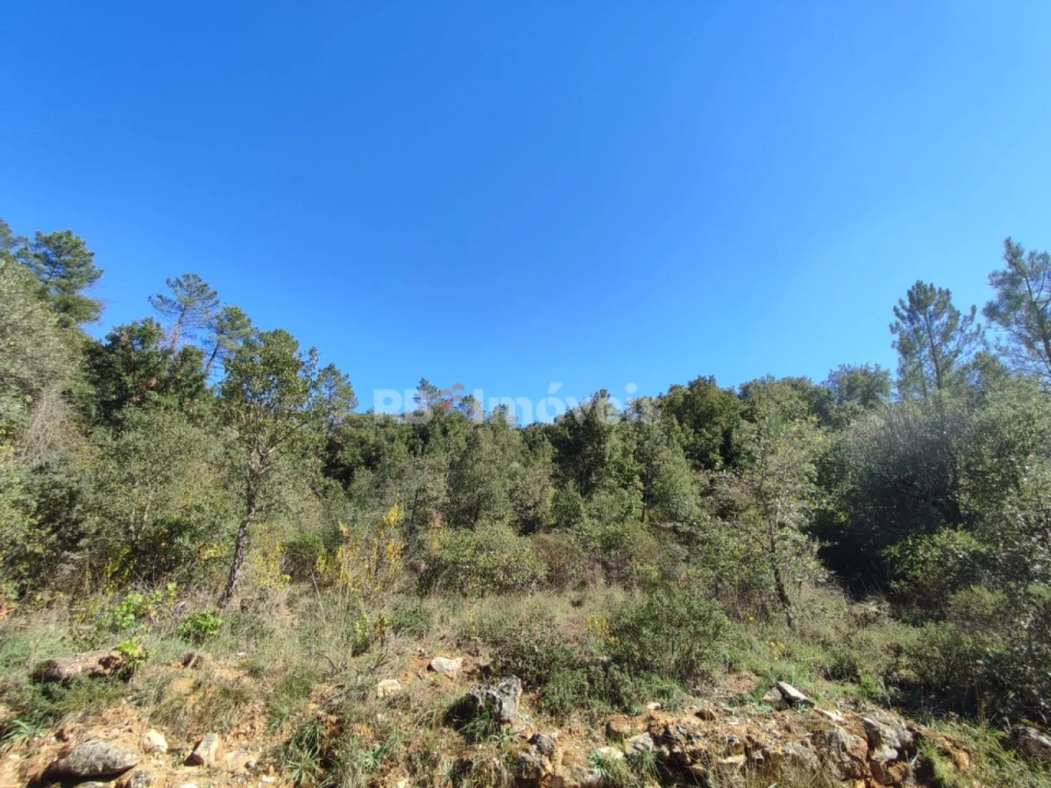 Terreno para Venda em Chãos Foto 12