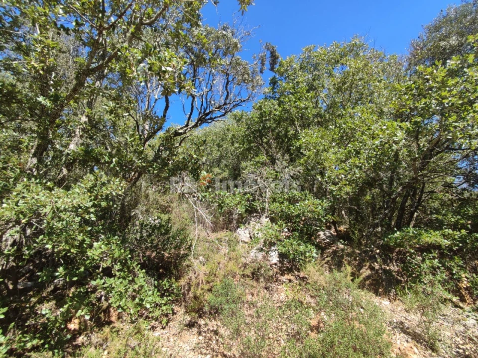 Terreno para Venda em Chãos Foto 14