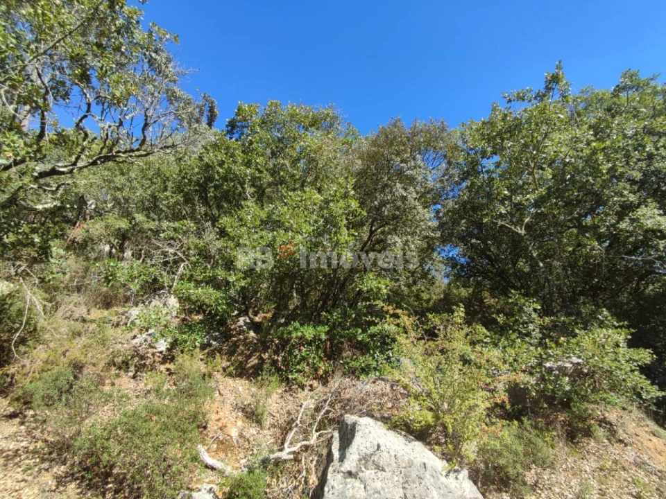 Terreno para Venda em Chãos Foto 17