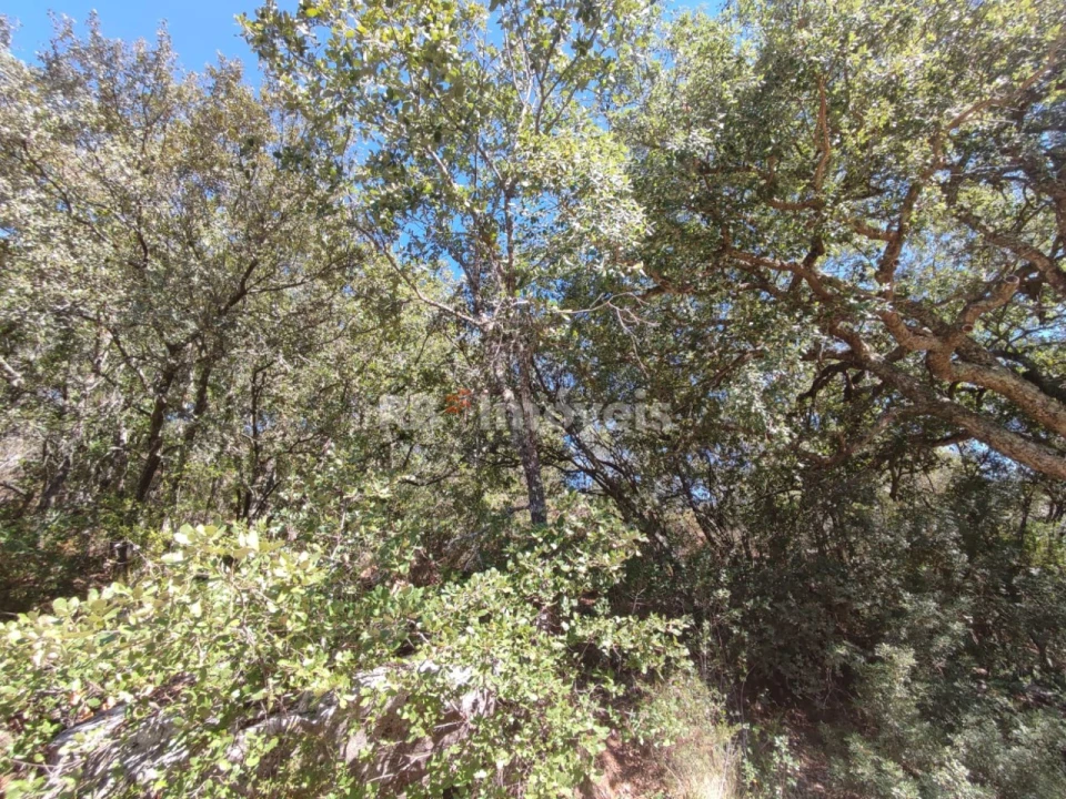 Terreno para Venda em Chãos Foto 3