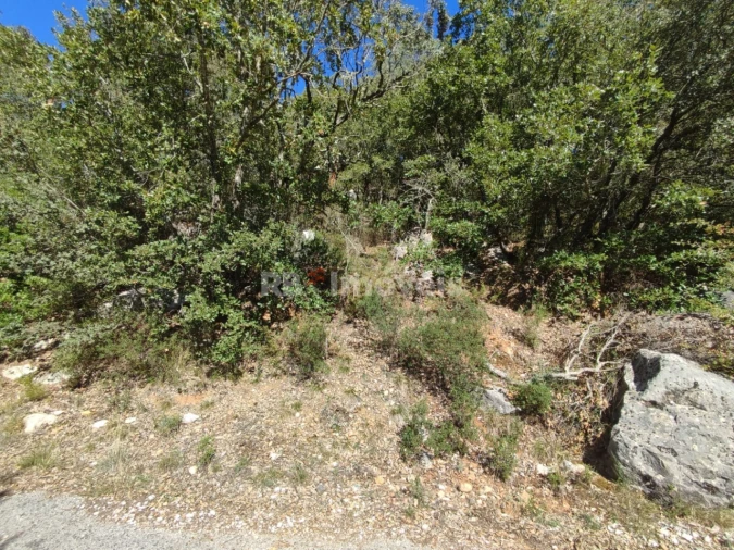 Terreno para Venda em Chãos Foto 15