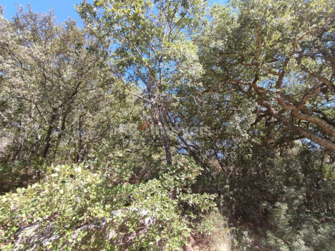 Terreno para Venda em Chãos Foto 3