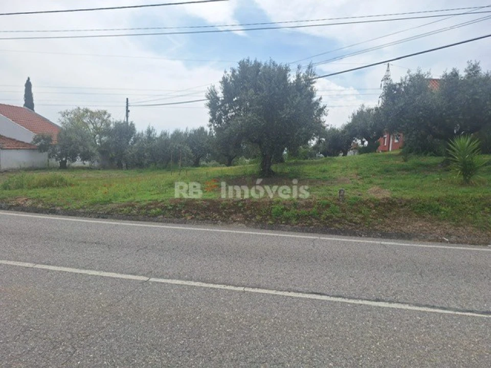 Terreno para Venda em Serra e Junceira Foto 16