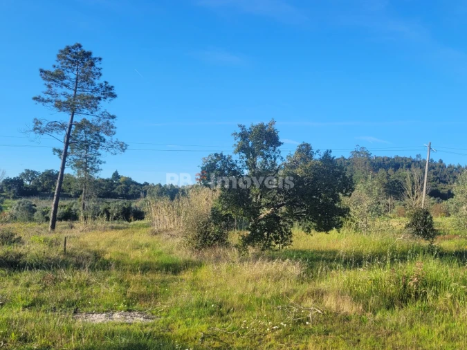 Terreno para Venda em Atalaia Foto 8