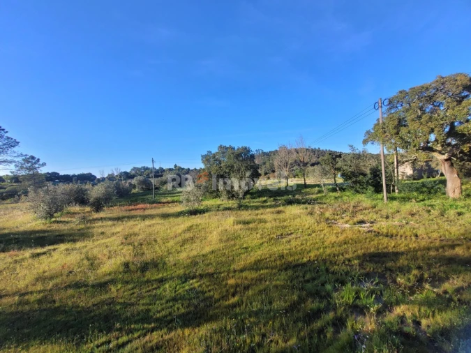 Terreno para Venda em Atalaia Foto 3