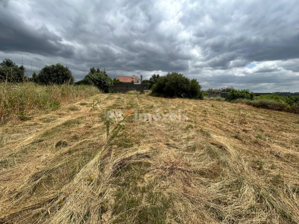 Terreno para Venda em São João Baptista e Santa Maria dos Olivais Foto 4