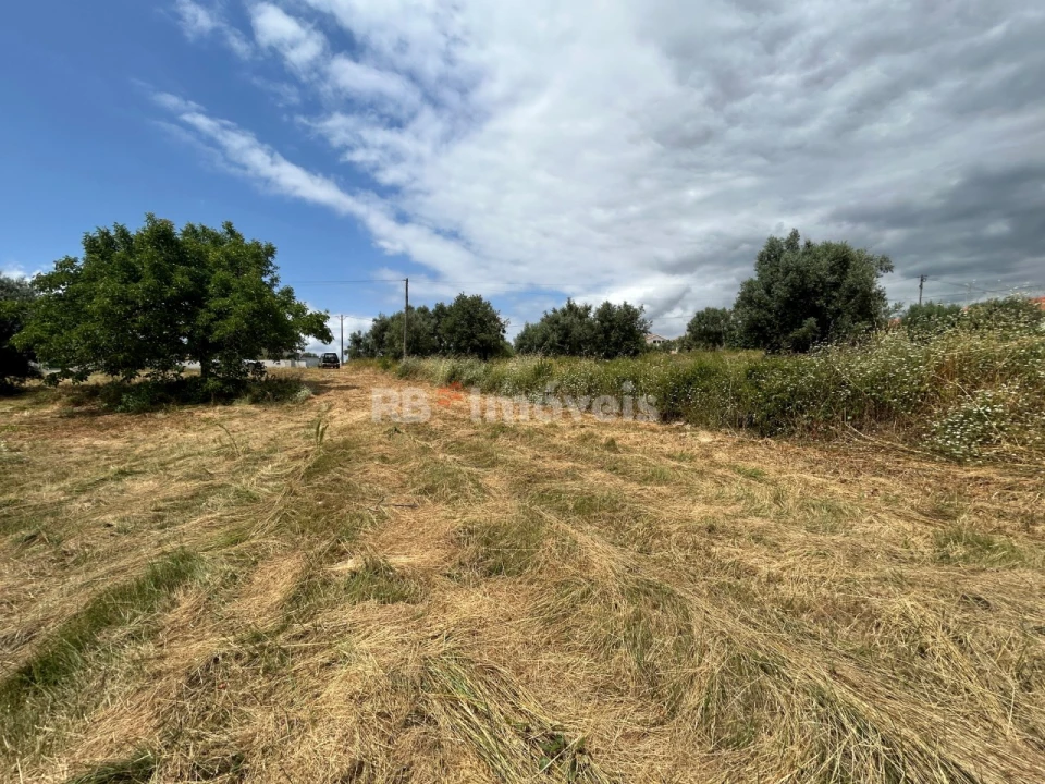 Terreno para Venda em São João Baptista e Santa Maria dos Olivais Foto 6