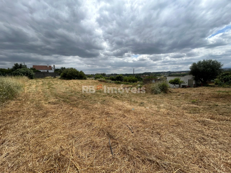 Terreno para Venda em São João Baptista e Santa Maria dos Olivais Foto 8