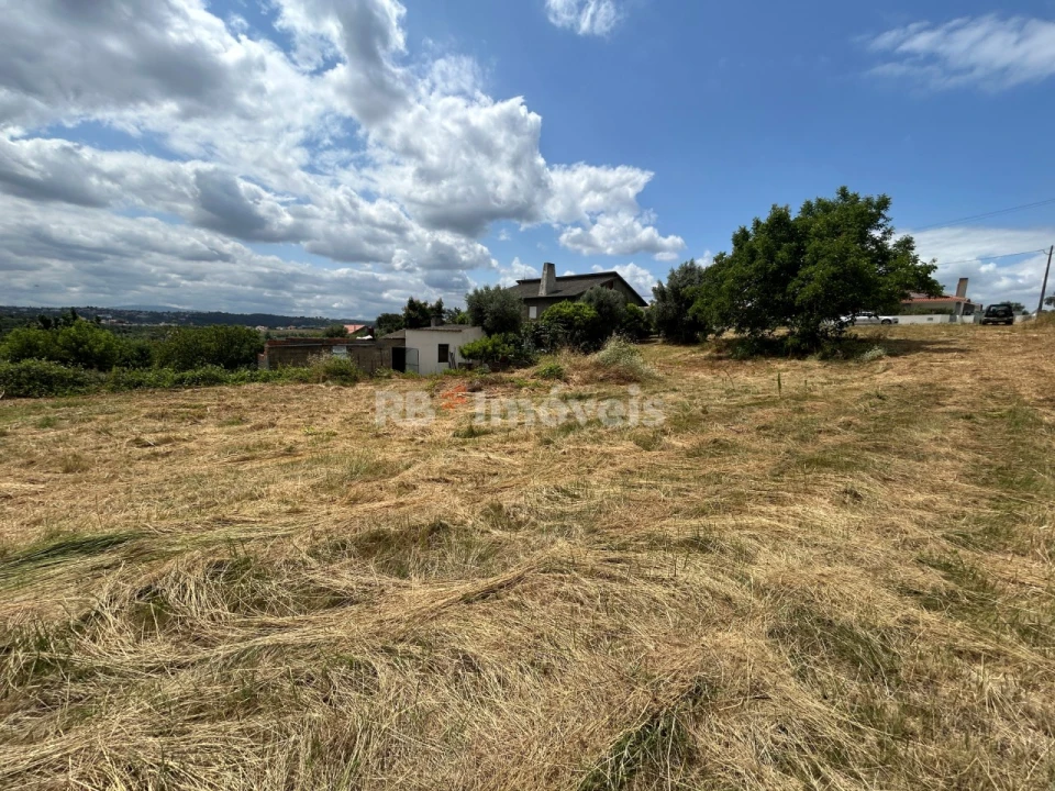 Terreno para Venda em São João Baptista e Santa Maria dos Olivais Foto 9