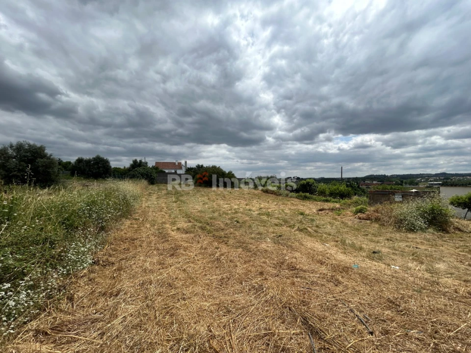 Terreno para Venda em São João Baptista e Santa Maria dos Olivais Foto 2