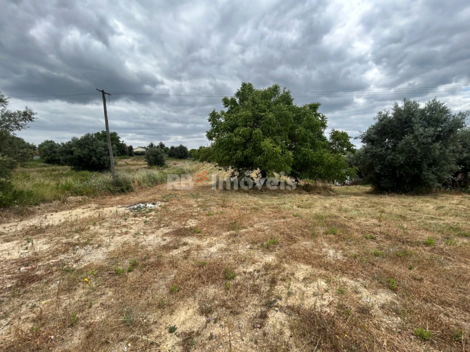 Terreno para Venda em São João Baptista e Santa Maria dos Olivais Foto 11